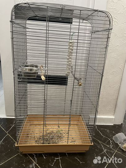 Попугай корелла с клеткой