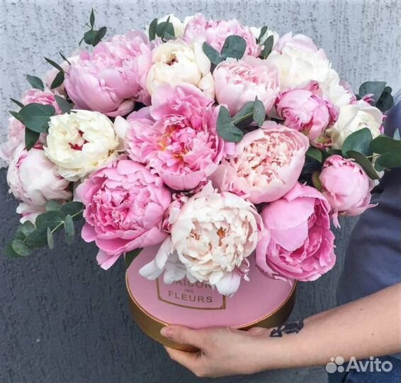 Пионы в коробке доставка №208