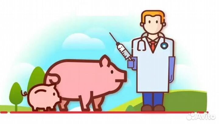 Ветеринарный врач
