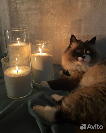 Насыпные свечи аренда