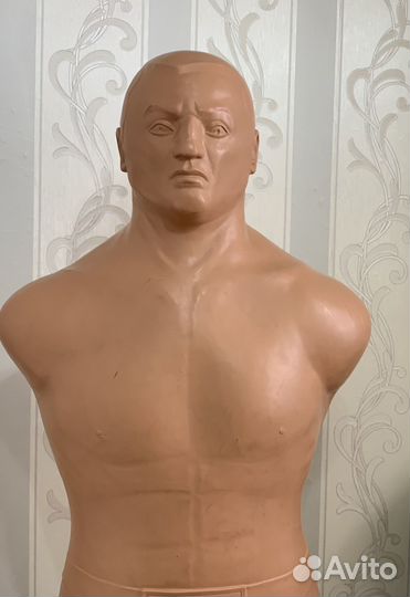 Груша герман