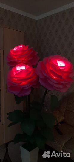 Цветы из изолона