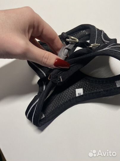 Шлейка размер xs