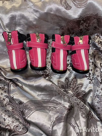 Ботинки для собак