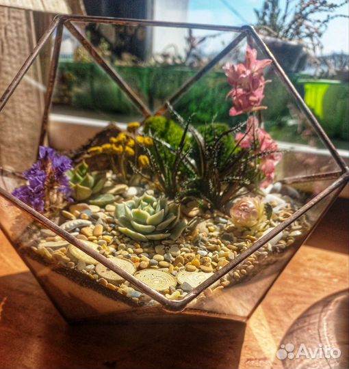 Флорариум/моссариум/подарок/дом