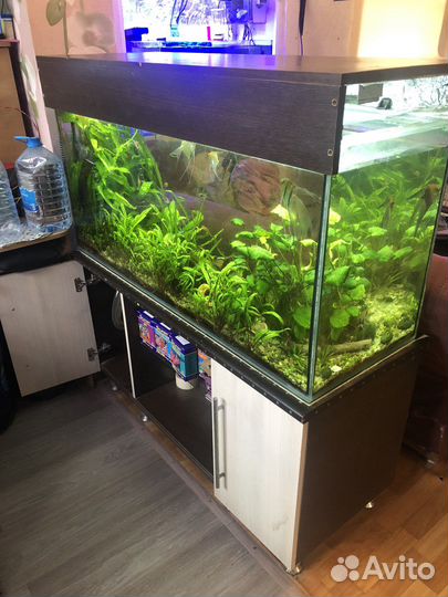 Аквариум 270л
