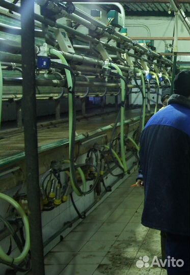 Доильное оборудование 