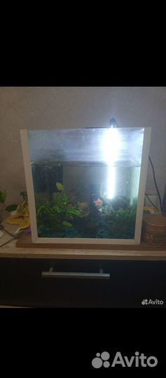 Аквариум