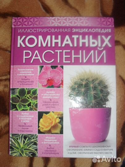 Книги (новые)
