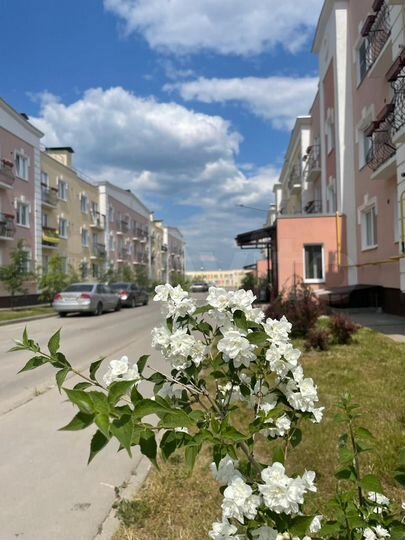 1-к. квартира, 36,4 м², 1/3 эт.