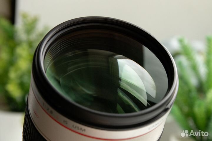 Canon EF 70-200mm f/2.8L IS USM