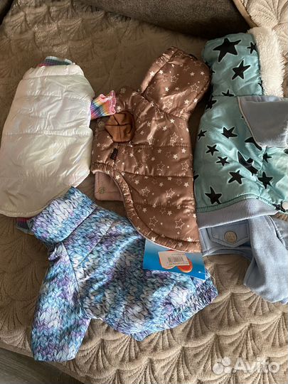 Одежда и обувь для собак бу