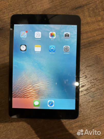 iPad mini wifi + cellular