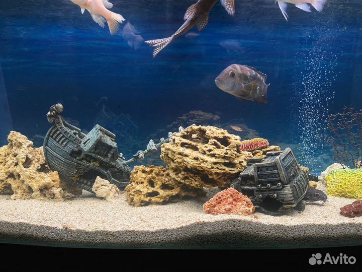 Аквариум комплекс 300л