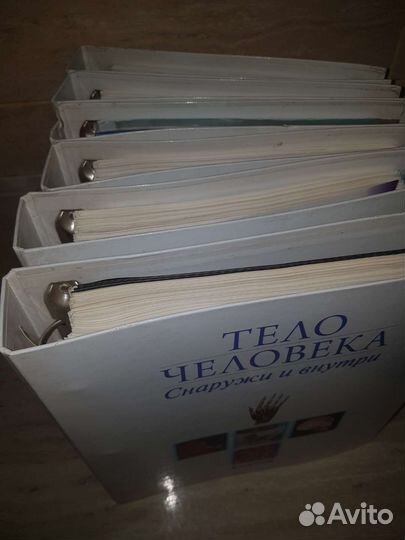 Вся коллекция журналов тело человека деагустини
