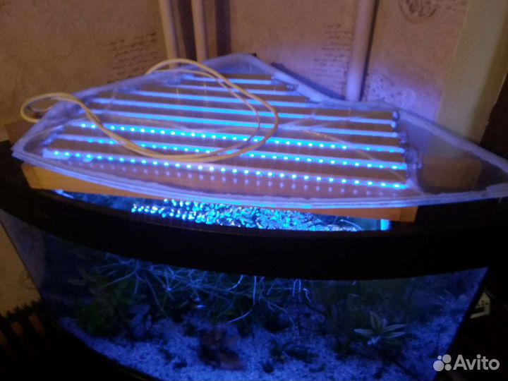 Аквариум фирмы 