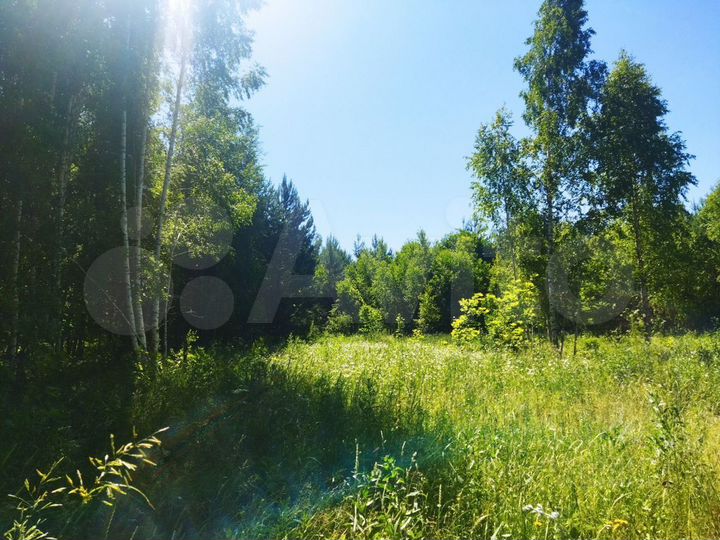 Участок 10 сот. (ИЖС)