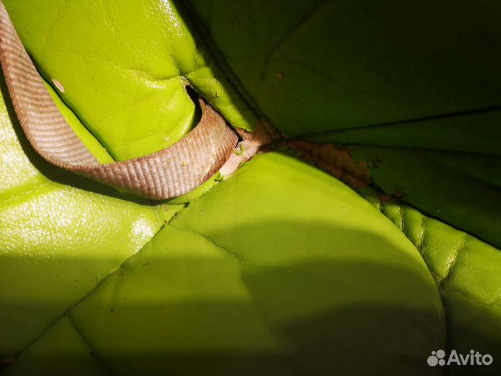 Детский стульчик для кормления peg perego