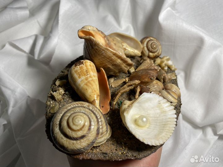 Сувениры из ракушек с Черного моря