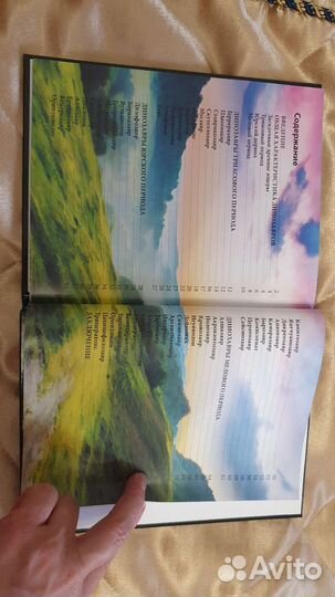 Книга динозавры