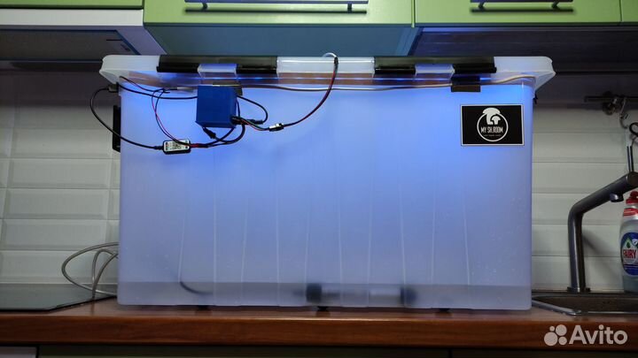 Парник инкубатор для грибов bigbox