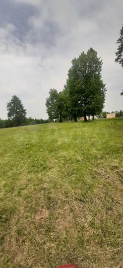 Участок 14 сот. (ИЖС)