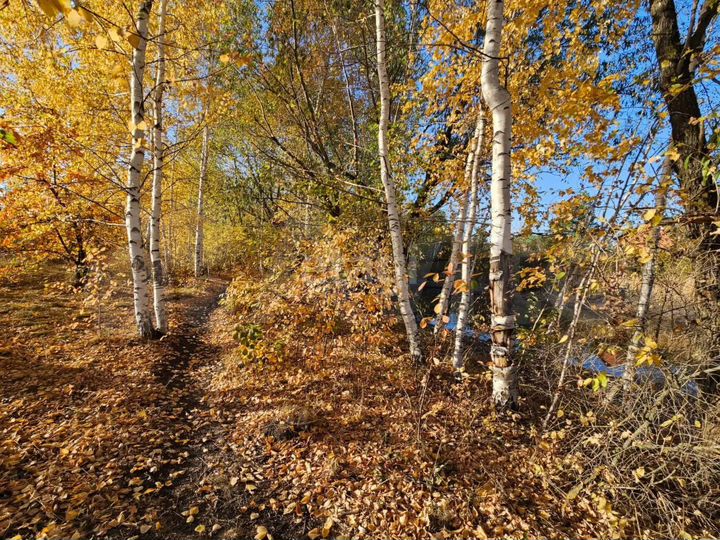 Участок 10 сот. (ИЖС)