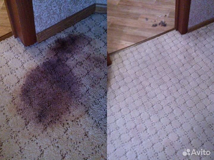 Аренда моющего пылесоса Thomas Bravo