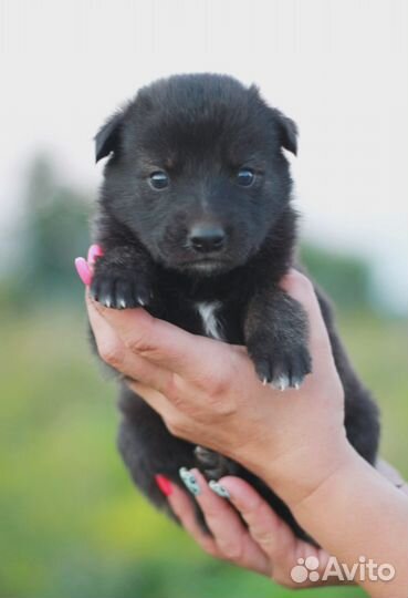 Девочка ждет семью