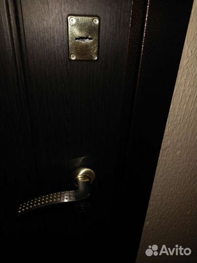 Дверь входная металлическая