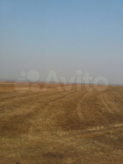 Участок 559 га (СНТ, ДНП)