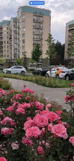 Свободного назначения, 143 м²