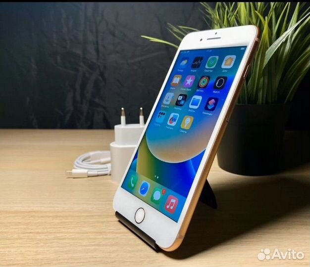 iPhone 8 Plus, 256 ГБ