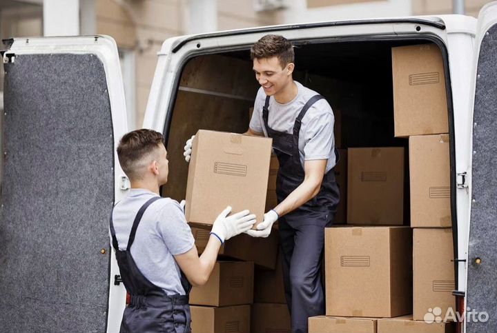 Грузчик офисные переезды оплата сразу