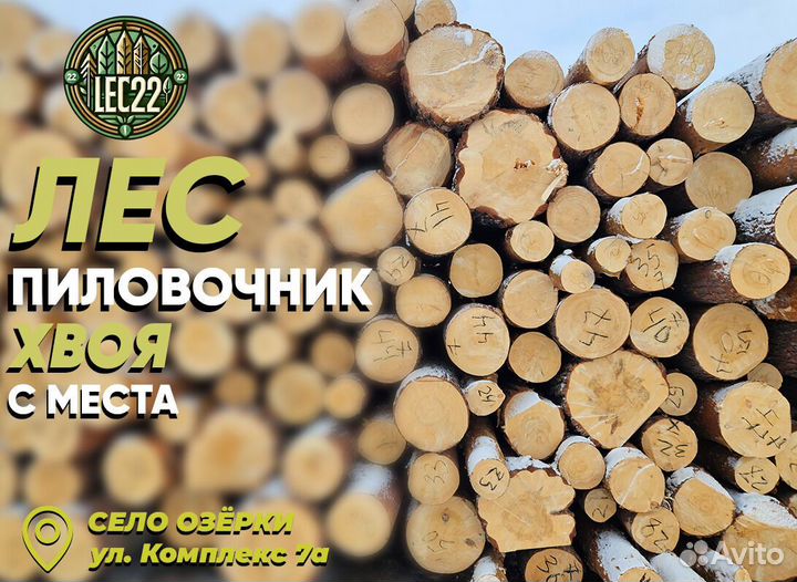 Пиловочник сосна