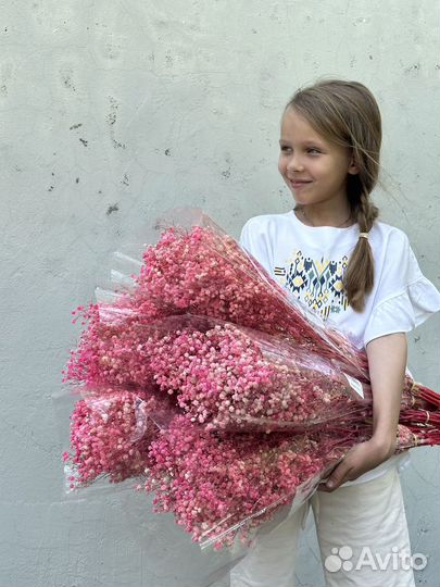 Сухоцветы Лимониум стабилизированный