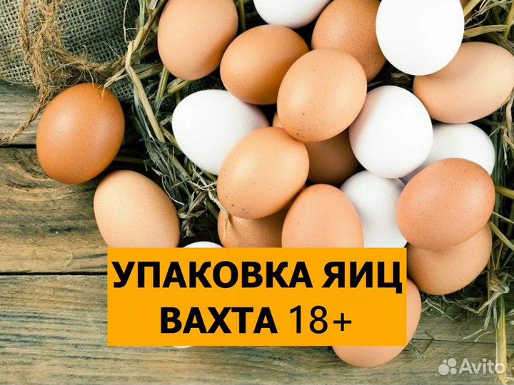 Упаковщик яиц вахта Выселки 18+