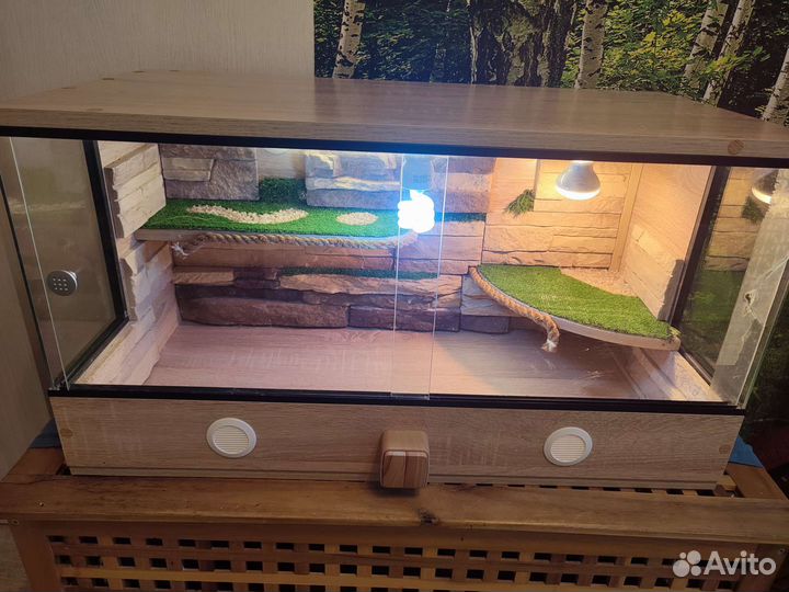 Террариум для рептилий бу
