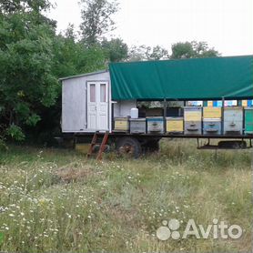 Прицеп с поворотной осью, для пчел.