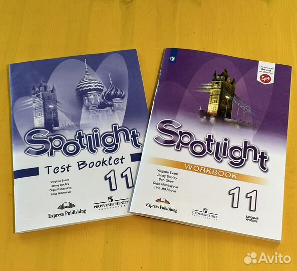 Рабочая тетрадь и книга с тестами 11 класс