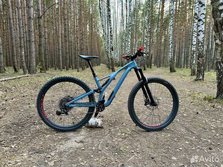 Specialized Stumpjumper Expert 29'