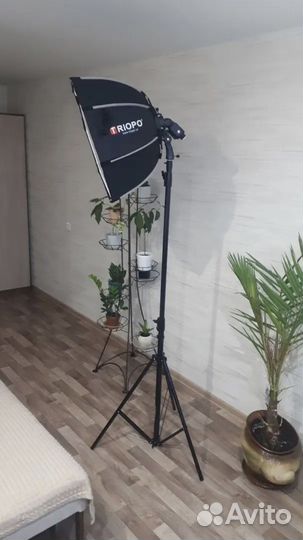 Октобокс triopo 65см