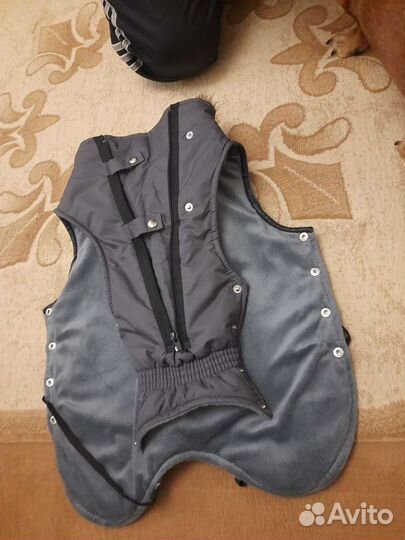 Новый теплый комбинезон для таксы