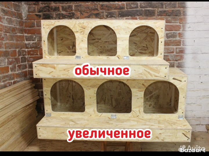 Гнездо для кур несушек с яйцесборником