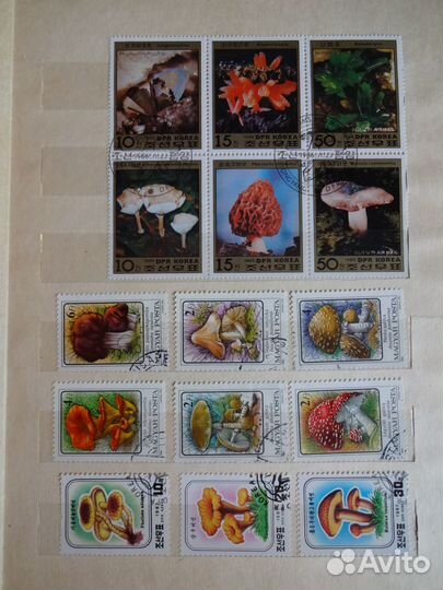 Коллекция почтовых марок