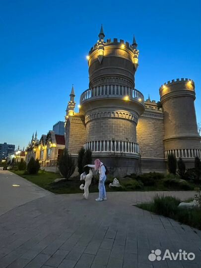 Выгул собак