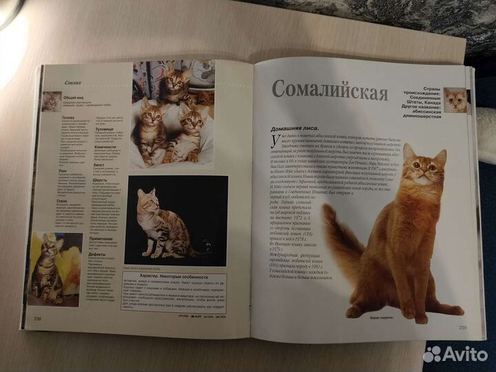 Энциклопедия кошки