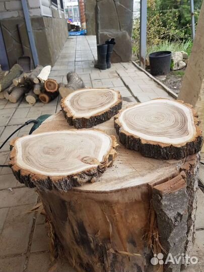 Спилы дерева