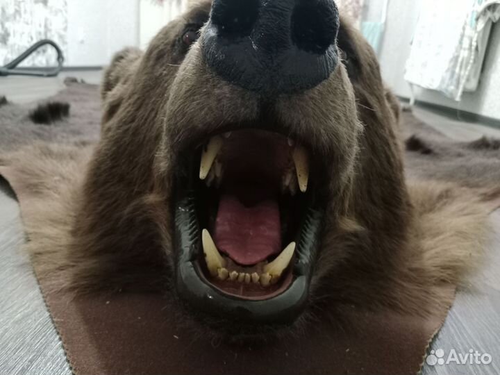 Шкура медведя имитация