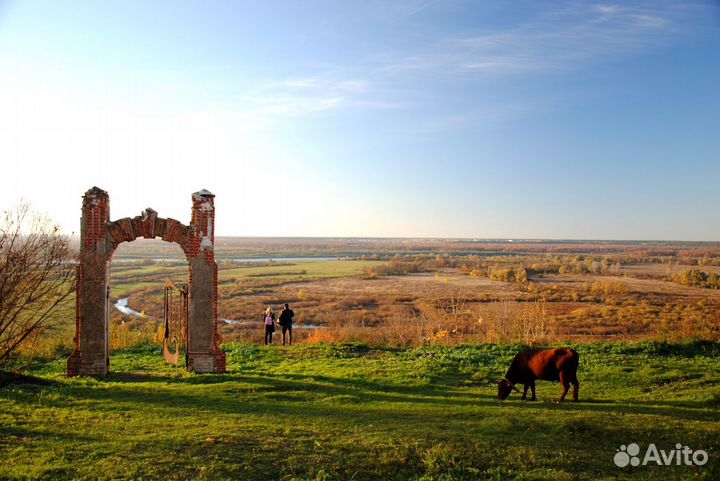 Праздники и мероприятия в старинной усадьбе